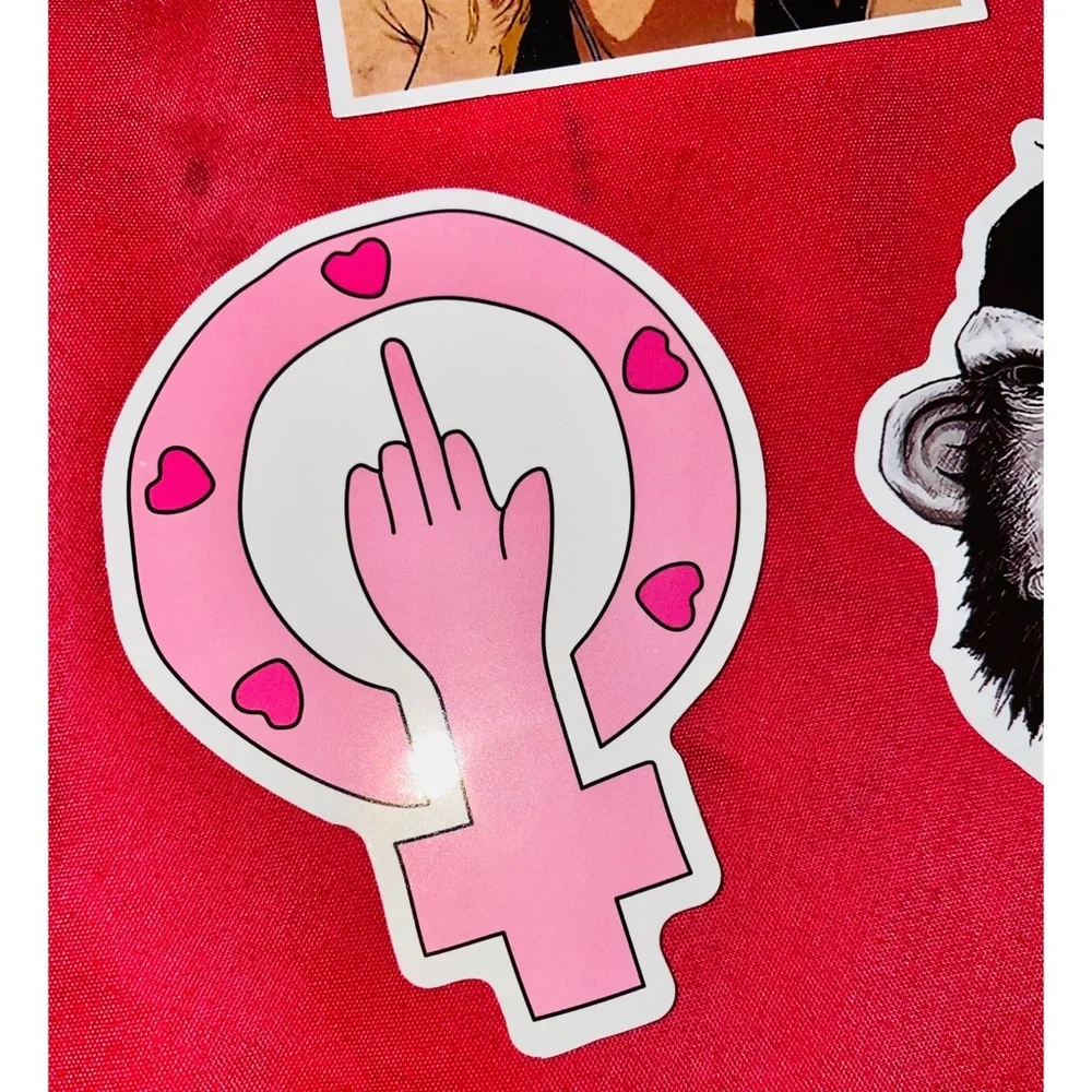 Sassy Sticker Bundle Water Bottle, Laptop Etc